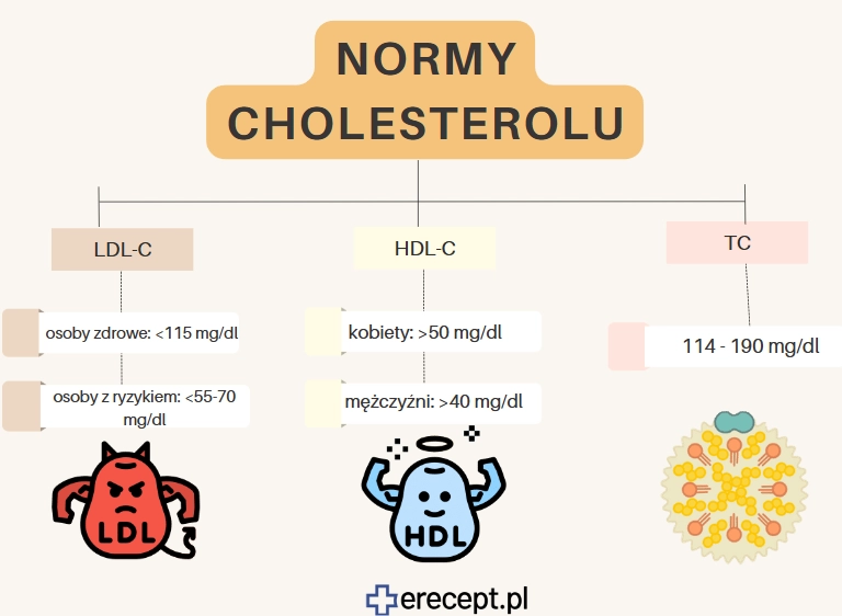 cholesterol-infografika-erecept