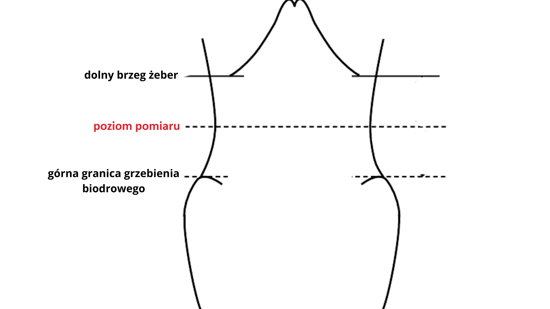 Jak zmierzyć talię? Schemat - Erecept.pl