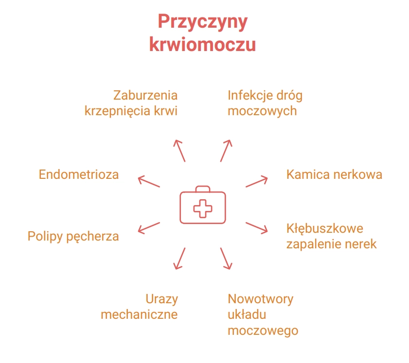 krwiomocz-infografika-erecept